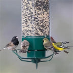 Bird Feeder Squirrel-Proof Rotating Perch 50 cm Tube