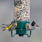 Bird Feeder Squirrel-Proof Weight-Activated 5 lb Capacity