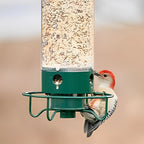 Bird Feeder Squirrel-Proof Weight-Activated 5 lb Capacity