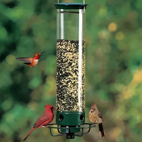 Bird Feeder Squirrel-Proof Weight-Activated Spinning Perch