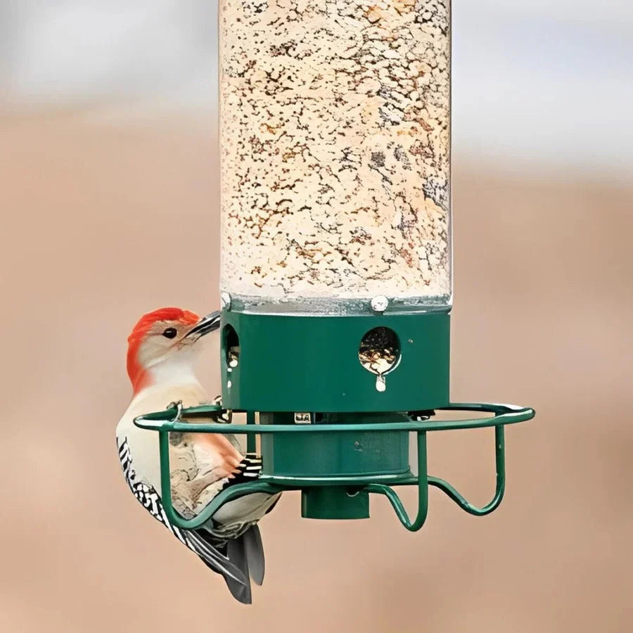 Bird Feeder Squirrel-Resistant Spinning Perch Powder-Coated Metal