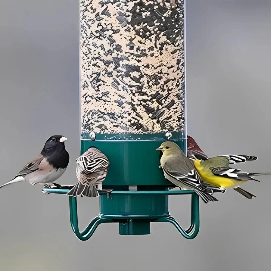 Bird Feeder Squirrel-Resistant Spinning Perch Powder-Coated Metal