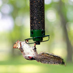 Bird Feeder Station Weight-Activated Perch Large Reservoir