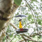 Bird Feeder Weather-Resistant Metal & Large Easy-Access Opening