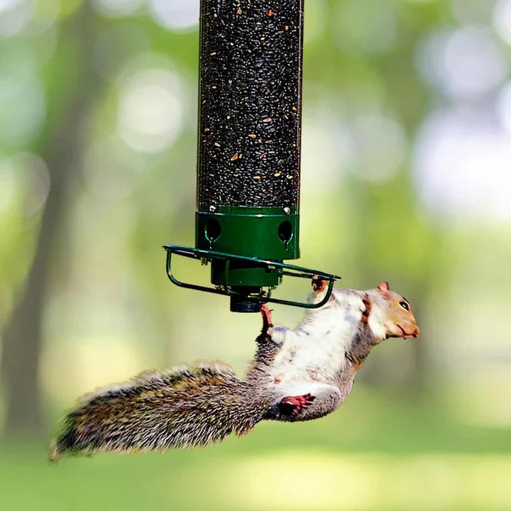 Bird Feeder Weight-Activated Squirrel Guard Weatherproof Metal & Polycarbonate