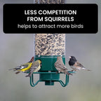 Bird Feeder Weight-Activated Squirrel-Proof 5.1 lb Capacity