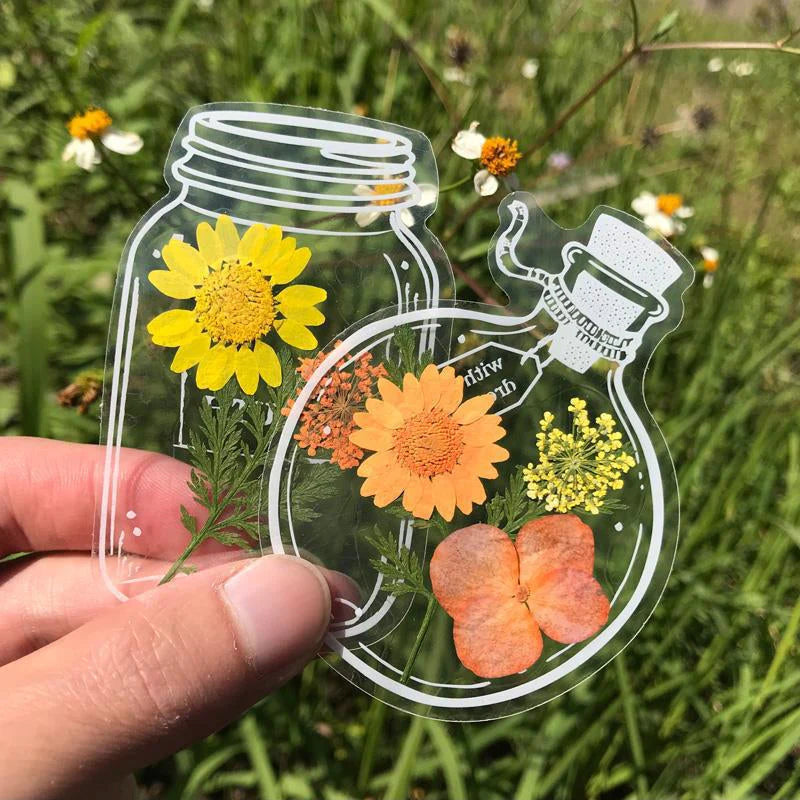 Bookmarks Pressed Dried Flowers Clear Waterproof
