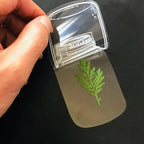 Bookmarks Pressed Dried Flowers Clear Waterproof