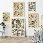 Botanical Print Classic Plant Illustrations Multiple Sizes