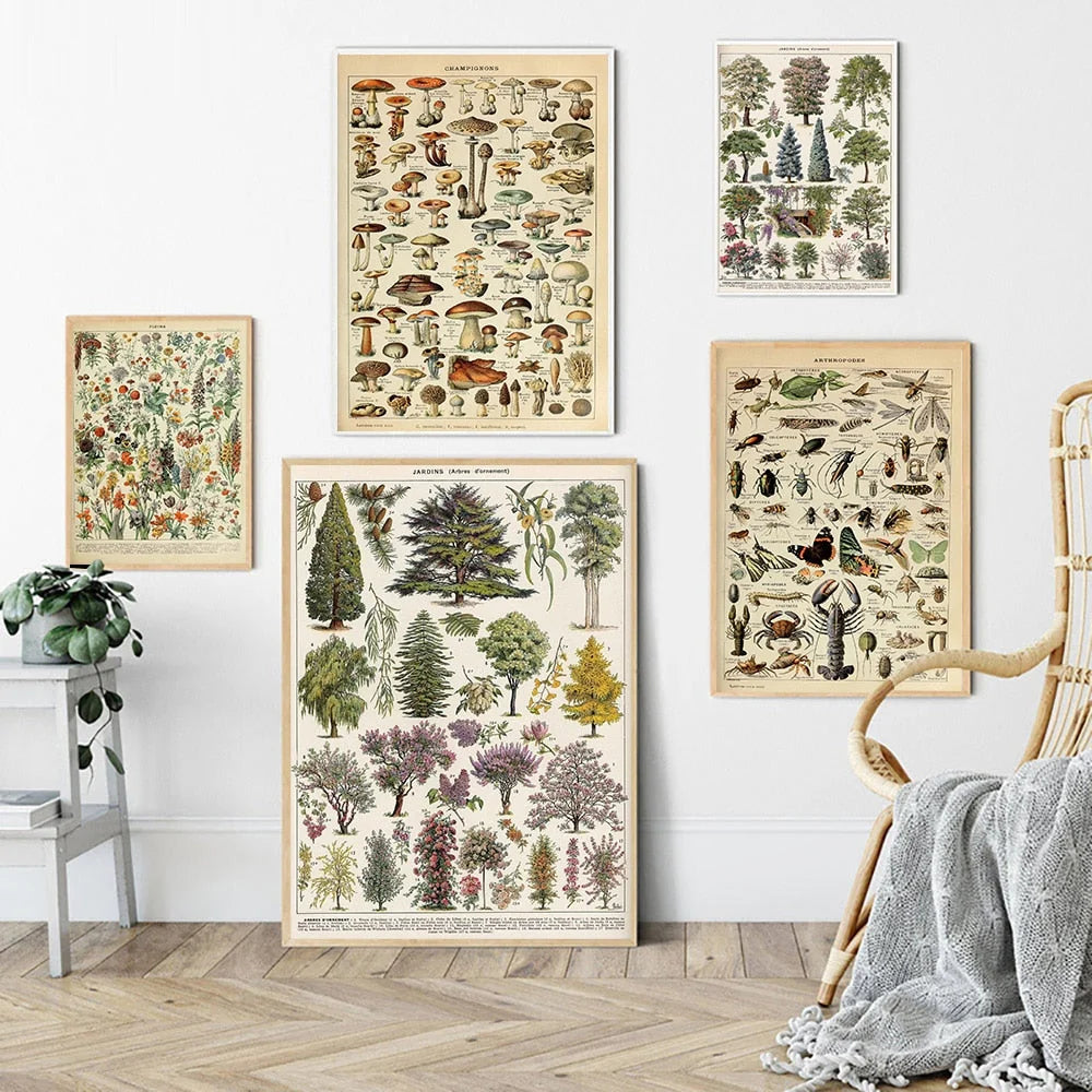 Botanical Print Classic Plant Illustrations Multiple Sizes