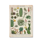 Botanical Print Classic Plant Illustrations Multiple Sizes