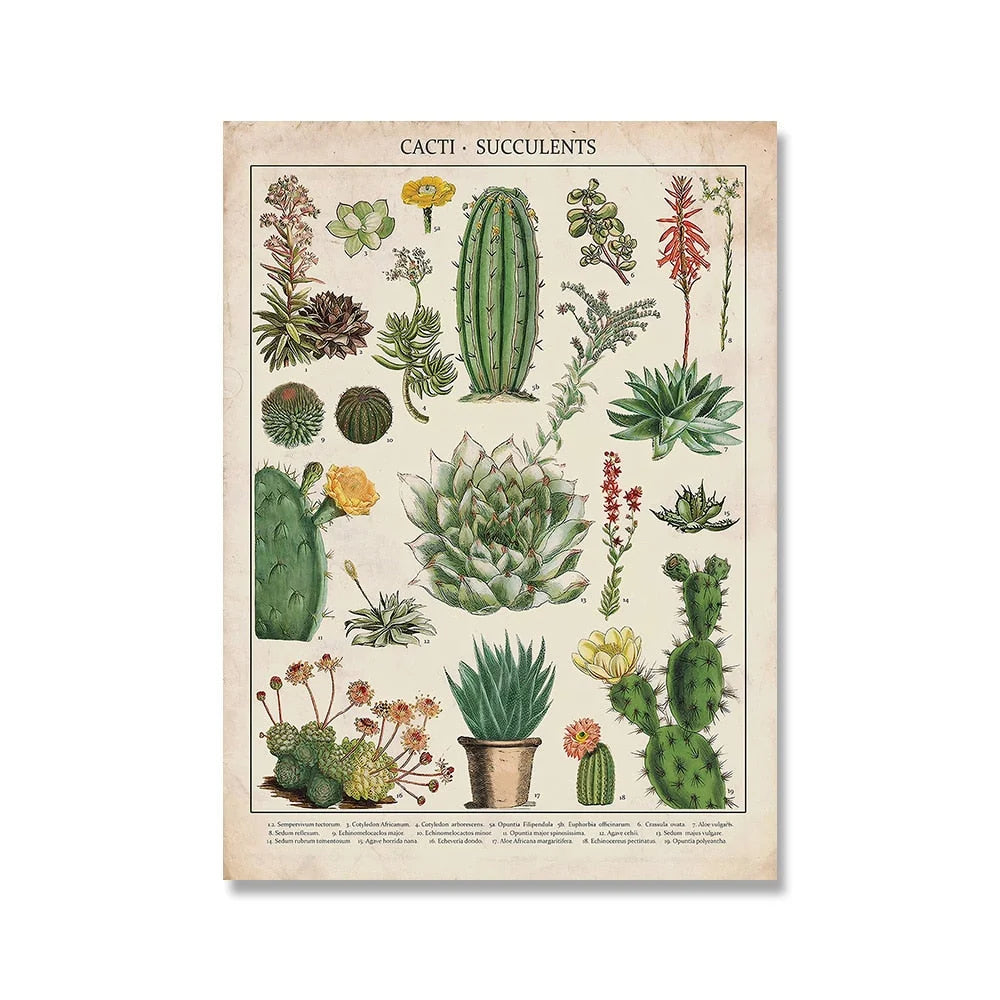 Botanical Print Classic Plant Illustrations Multiple Sizes