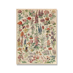 Botanical Print Classic Plant Illustrations Multiple Sizes