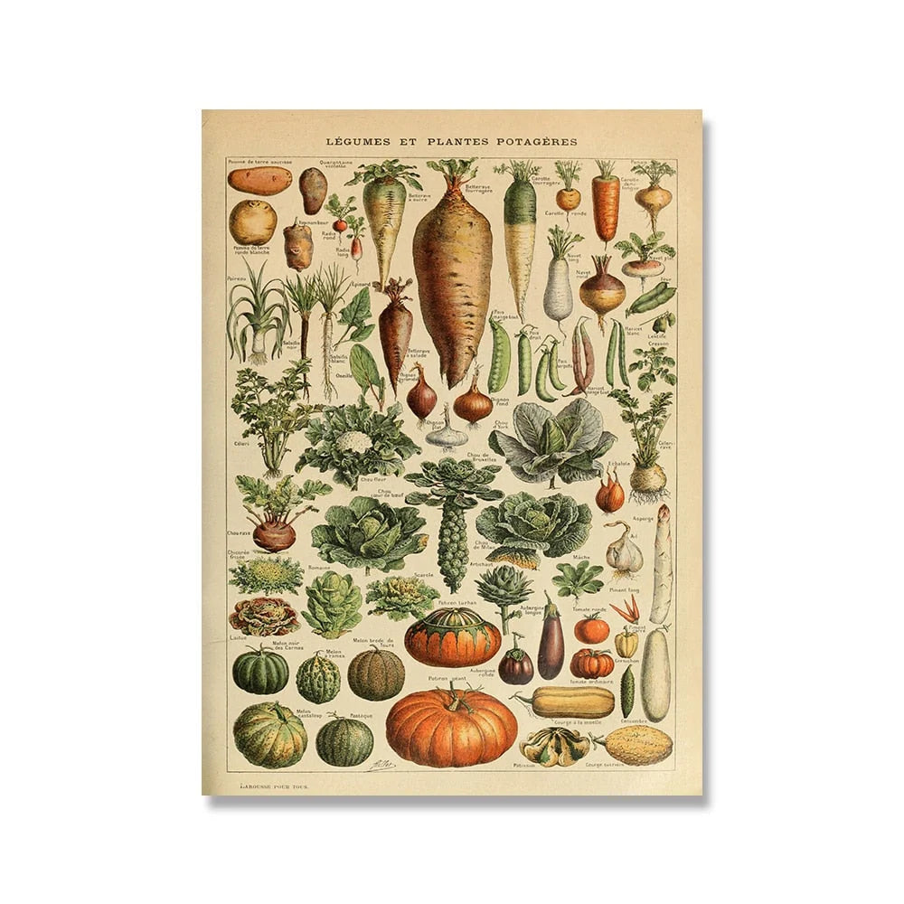 Botanical Print Classic Plant Illustrations Multiple Sizes
