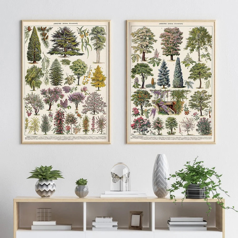 Botanical Print Classic Plant Illustrations Multiple Sizes