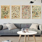 Botanical Print Classic Plant Illustrations Multiple Sizes