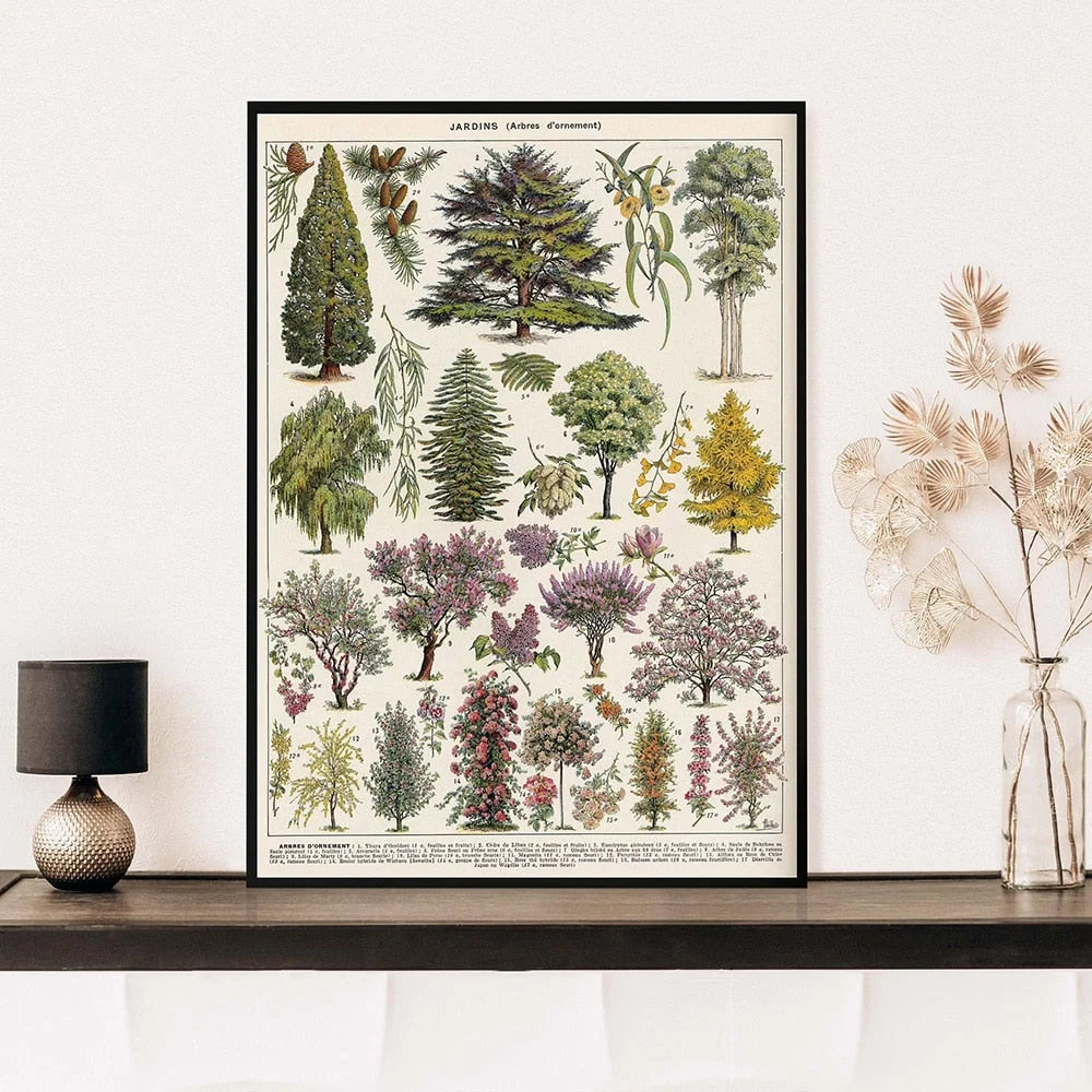 Botanical Print Classic Plant Illustrations Multiple Sizes