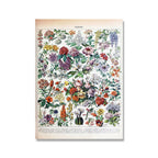 Botanical Print Classic Plant Illustrations Multiple Sizes