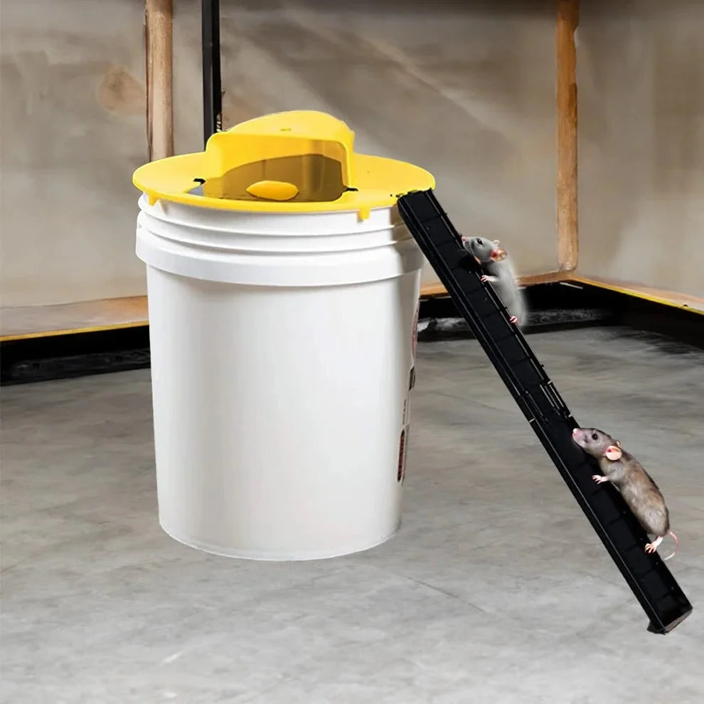 Bucket Mouse Trap Humane Live-Catch & Automatic Reset