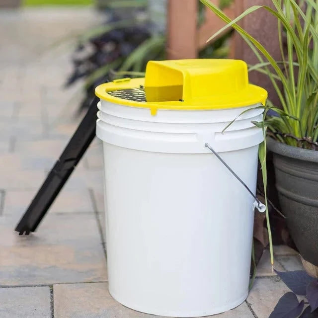 Bucket Mouse Trap Humane Live-Catch & Automatic Reset
