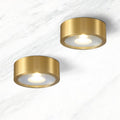 Built-In LED Dimmable Copper Flush Mount Ceiling Light