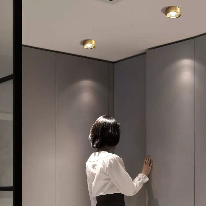 Built-In LED Dimmable Copper Flush Mount Ceiling Light