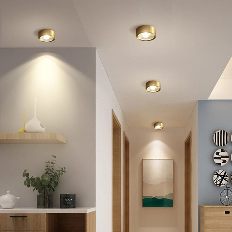 Built-In LED Dimmable Copper Flush Mount Ceiling Light