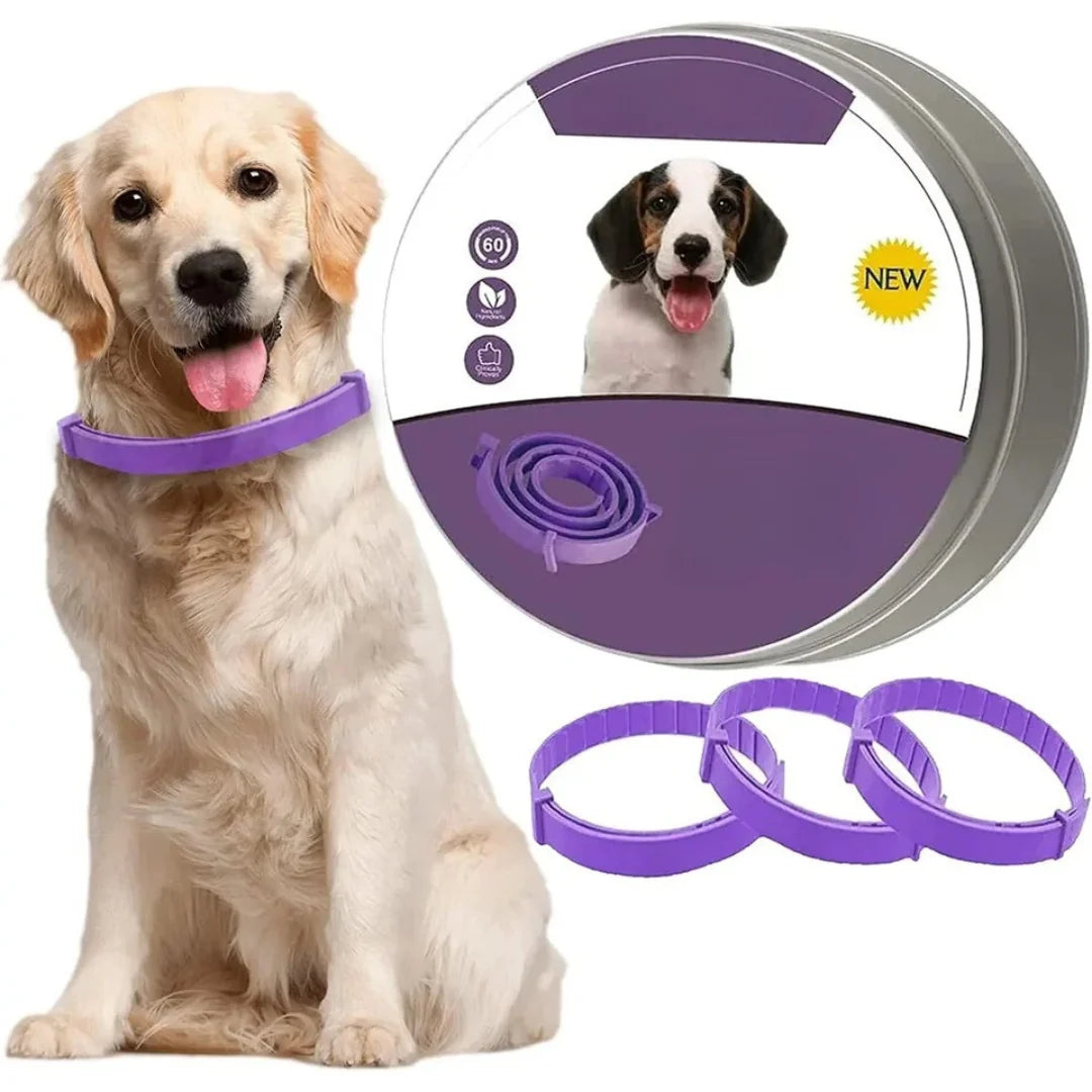 Calming Collar Body-Heat Activated Oils & Pheromones