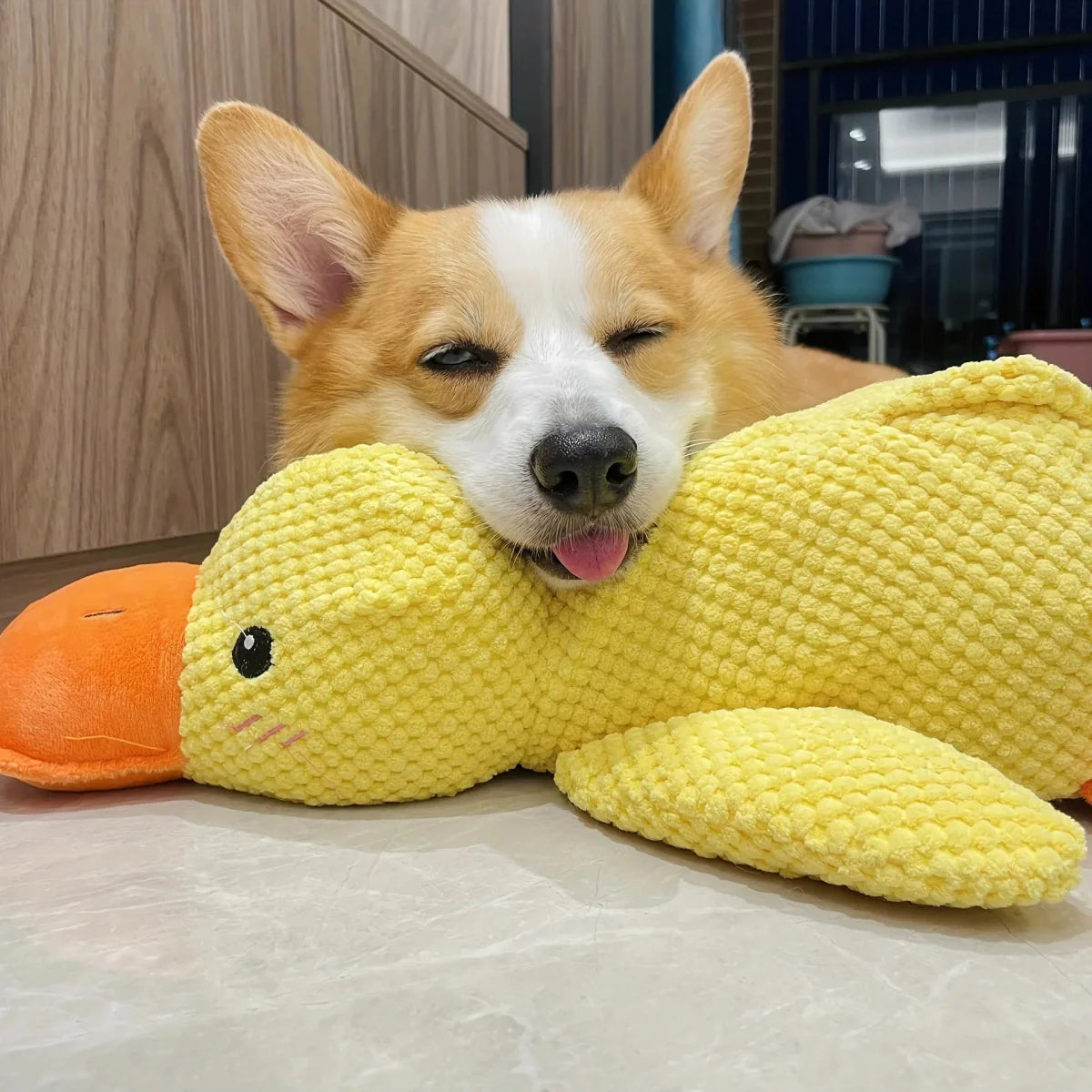 Calming Dog Toy Quacking Sound Durable & Pet-Safe Fabric