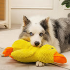 Calming Dog Toy Quacking Sound Durable & Pet-Safe Fabric