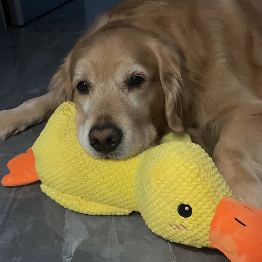 Calming Dog Toy Quacking Sound Durable & Pet-Safe Fabric