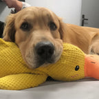 Calming Dog Toy Quacking Sound Durable & Pet-Safe Fabric