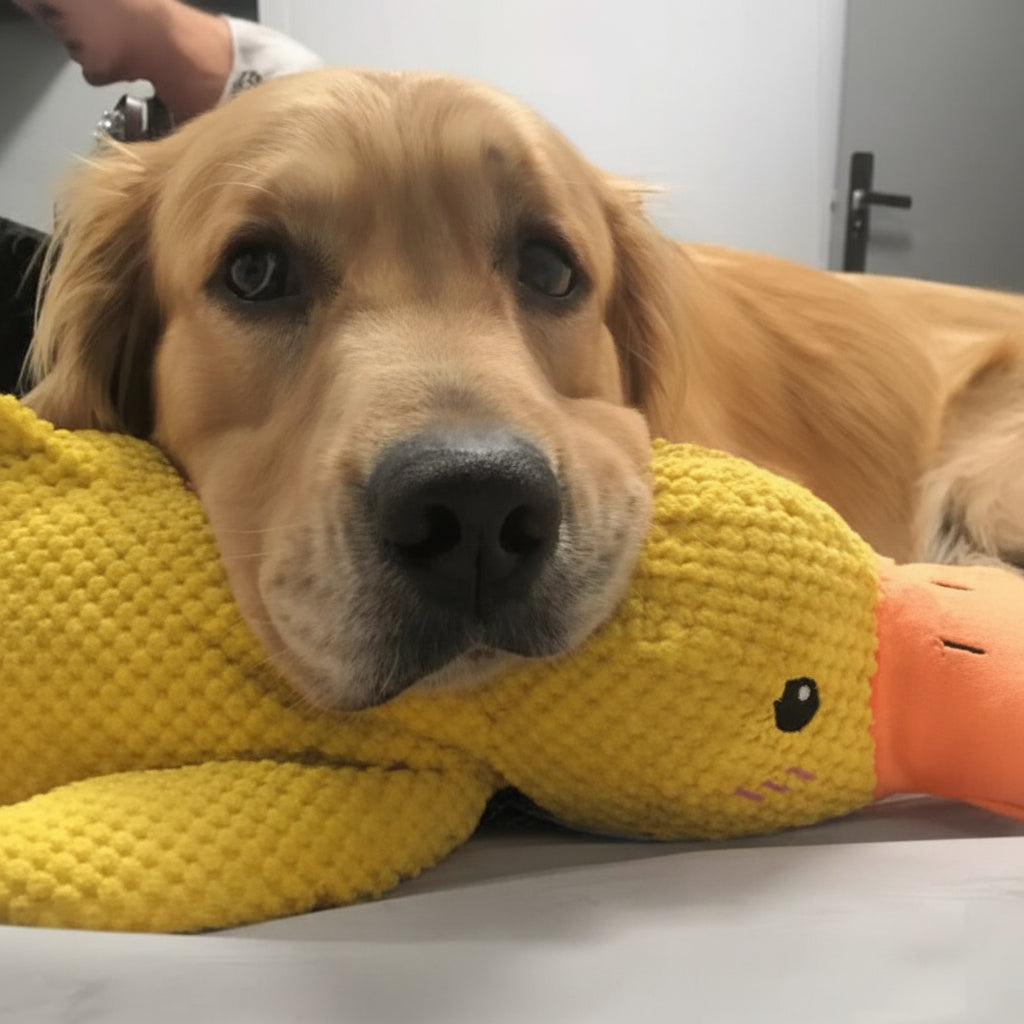 Calming Dog Toy Quacking Sound Durable & Pet-Safe Fabric