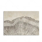 Canvas Wall Art Abstract Tree Rings Ready To Hang