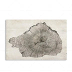 Canvas Wall Art Abstract Tree Rings Ready To Hang