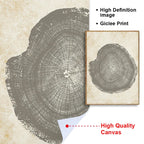 Canvas Wall Art Abstract Tree Rings Ready To Hang