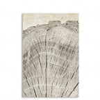 Canvas Wall Art Abstract Tree Rings Ready To Hang