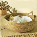 Cat Bed Breathable Woven Cattail Grass Removable Pad