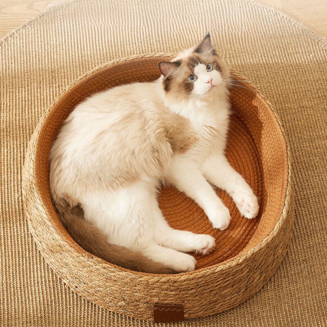 Cat Bed Hand Woven Rattan Circular Nest Scratcher
