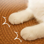 Cat Bed Hand Woven Rattan Circular Nest Scratcher
