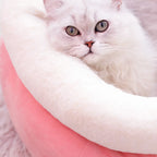 Cat Bed & Litter Mat Soft Breathable Machine Washable