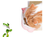 Cat Bowl Ceramic Shallow Raised Edge Dishwasher-Safe
