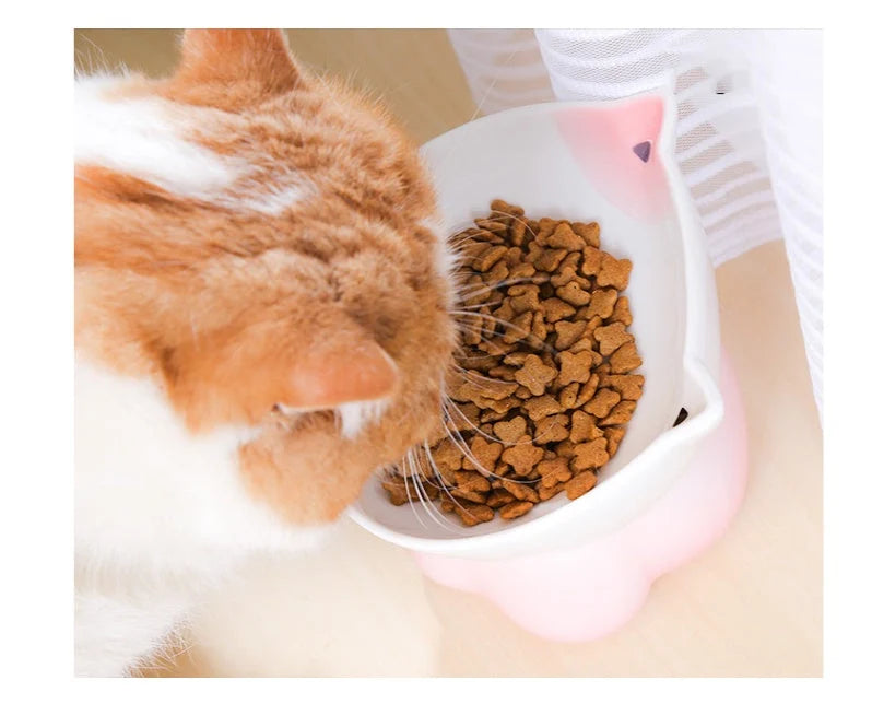 Cat Bowl Ceramic Shallow Raised Edge Dishwasher-Safe