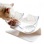 Cat Bowl Elevated 15° Tilt Dual Bowls Anti-Slip Base