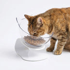 Cat Bowl Elevated 15° Tilt Dual Bowls Anti-Slip Base