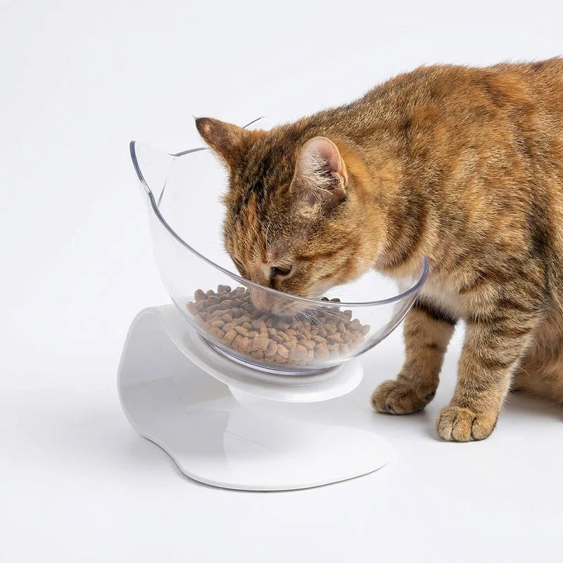 Cat Bowl Elevated 15° Tilt Dual Bowls Anti-Slip Base