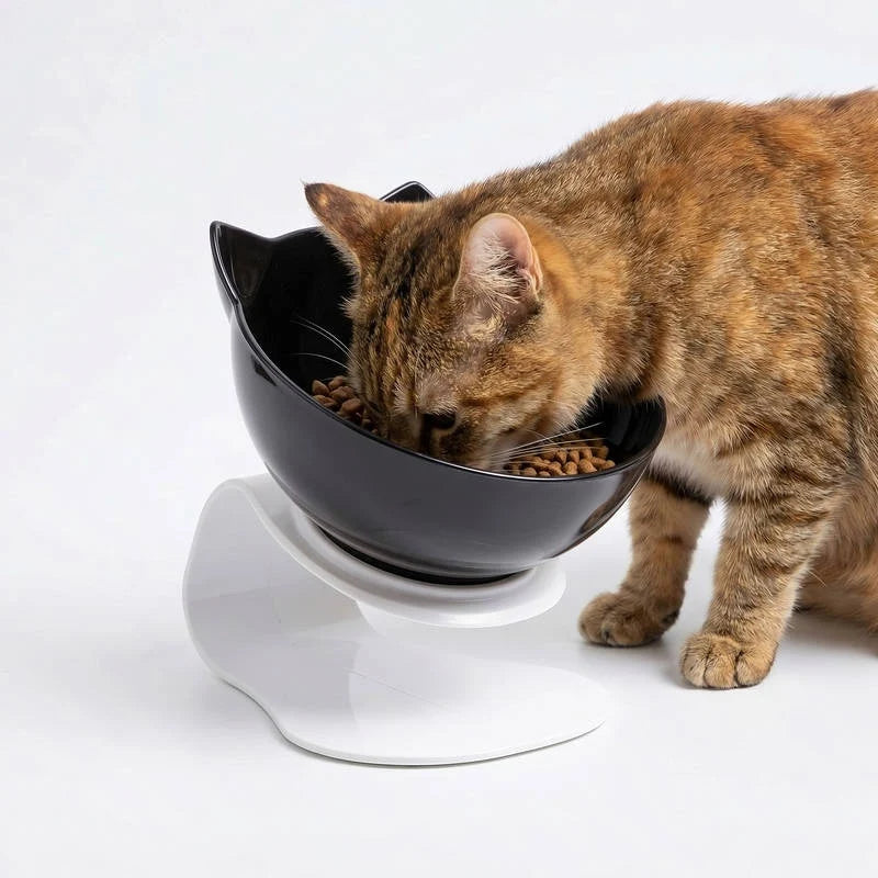 Cat Bowl Elevated 15° Tilt Dual Bowls Anti-Slip Base