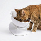 Cat Bowl Elevated 15° Tilt Dual Bowls Anti-Slip Base
