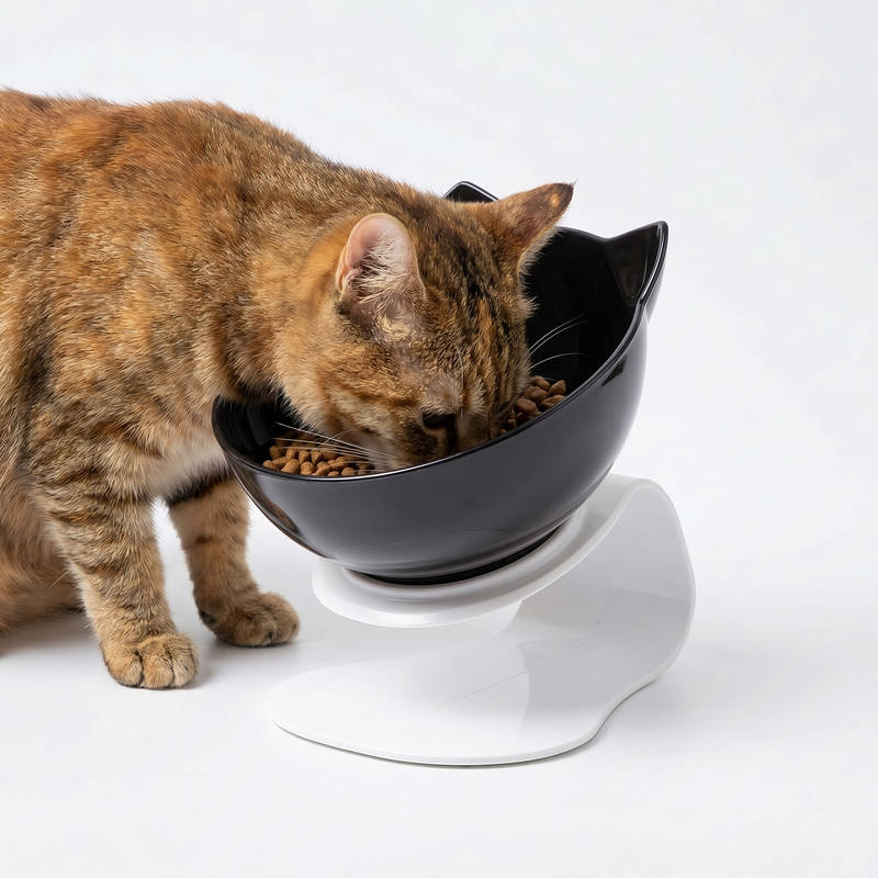 Cat Bowl Elevated 15° Tilt Dual Bowls Anti-Slip Base