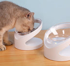 Cat Bowl Ergonomic Diagonal Food-Grade Plastic
